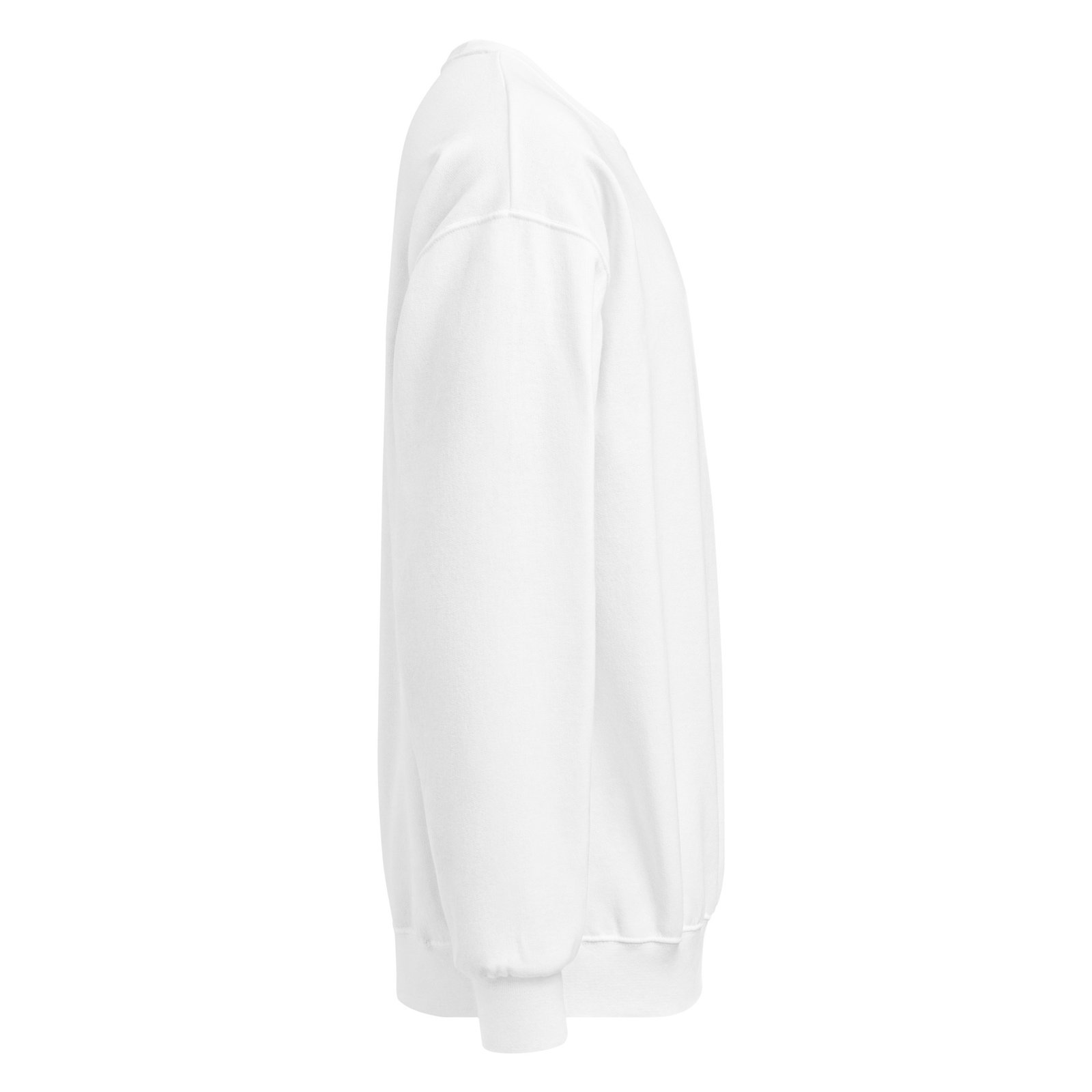 Loose Goose Long Dog Sweatshirt - Image 4